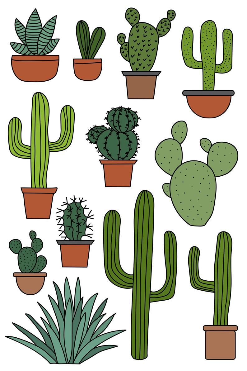 Detail Cactus Clip Art Free Nomer 26