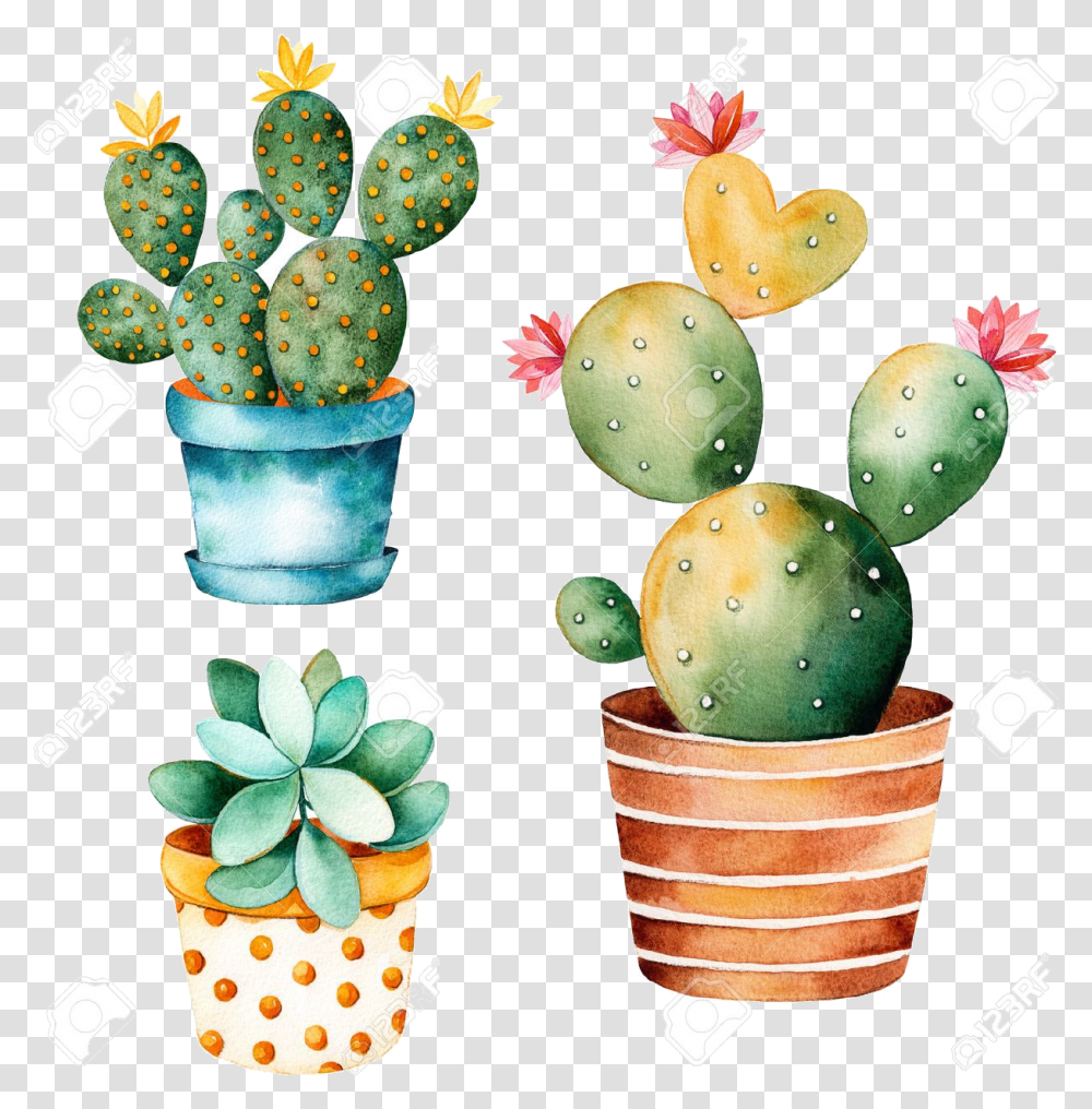 Detail Cactus Clip Art Free Nomer 36