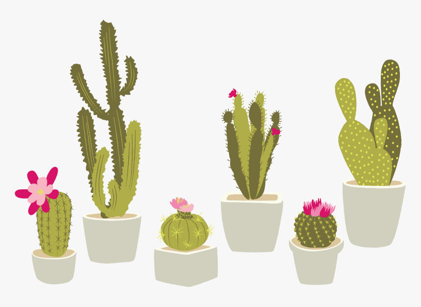 Detail Cactus Clipart Png Nomer 52