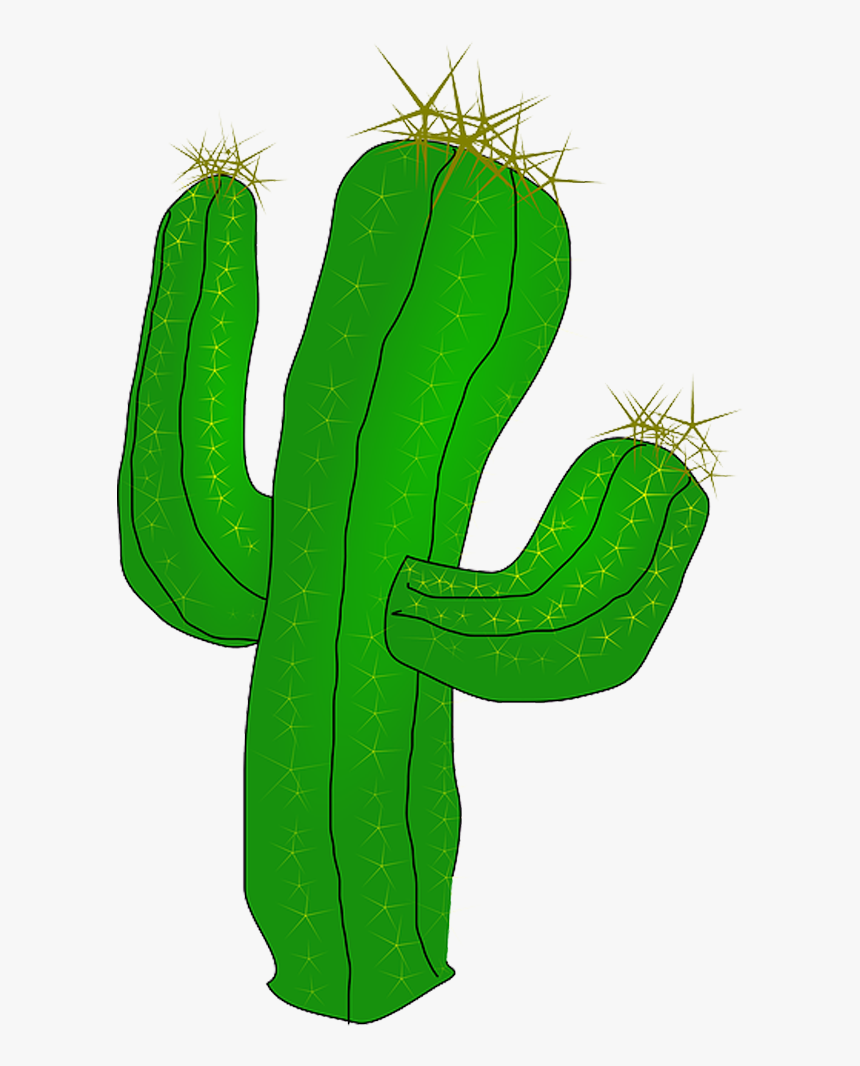 Detail Cactus Clipart Transparent Background Nomer 13