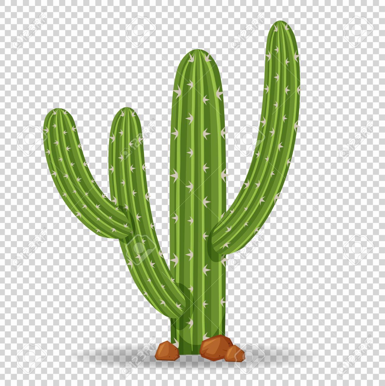 Detail Cactus Clipart Transparent Background Nomer 20