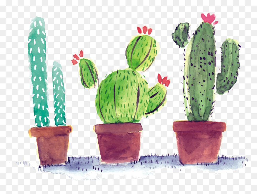 Detail Cactus Clipart Transparent Background Nomer 35