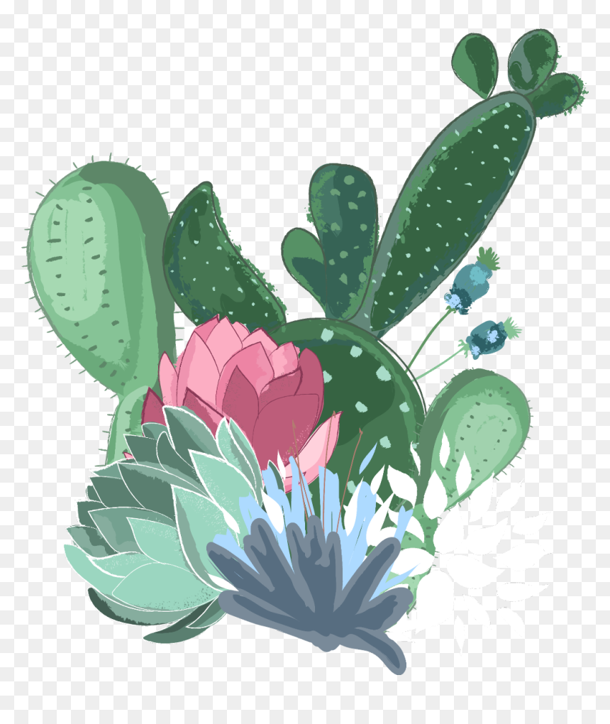 Detail Cactus Clipart Transparent Background Nomer 41