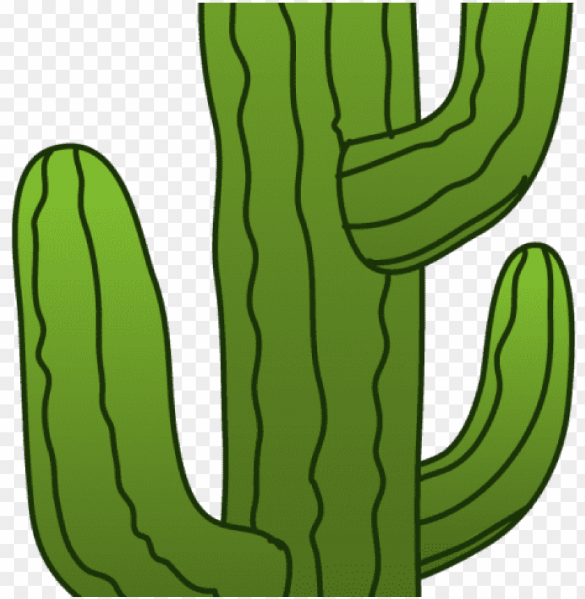 Detail Cactus Clipart Transparent Background Nomer 42