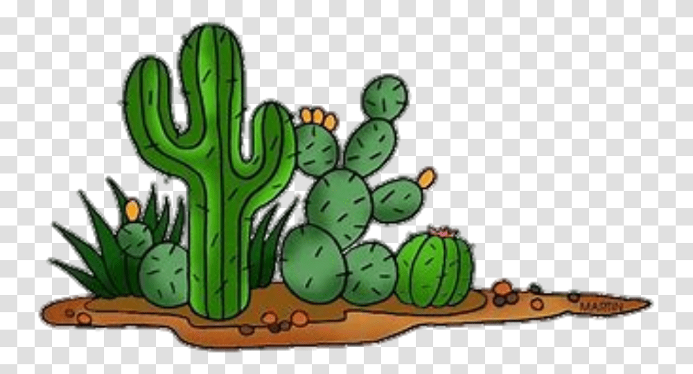 Detail Cactus Clipart Transparent Background Nomer 51