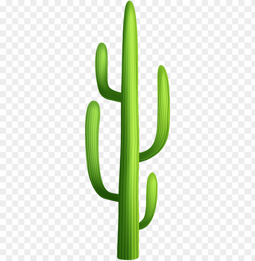 Detail Cactus Clipart Transparent Background Nomer 6