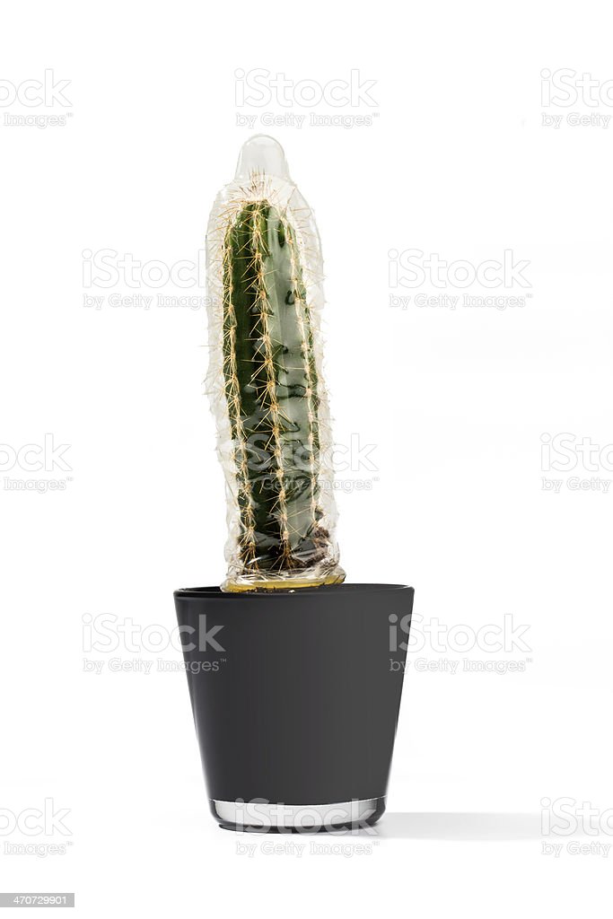 Detail Cactus Condom Nomer 2