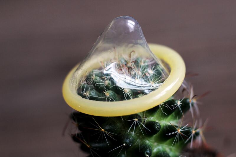 Detail Cactus Condom Nomer 11