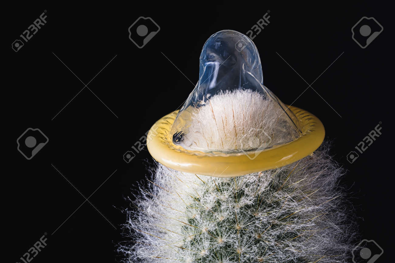 Detail Cactus Condom Nomer 15