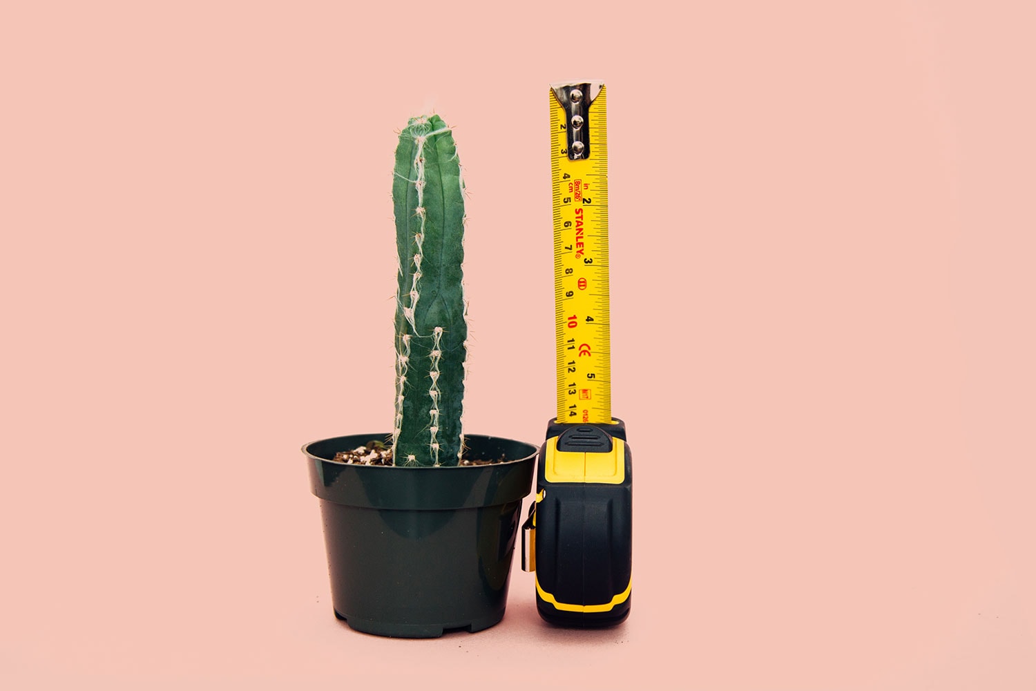 Detail Cactus Condom Nomer 17