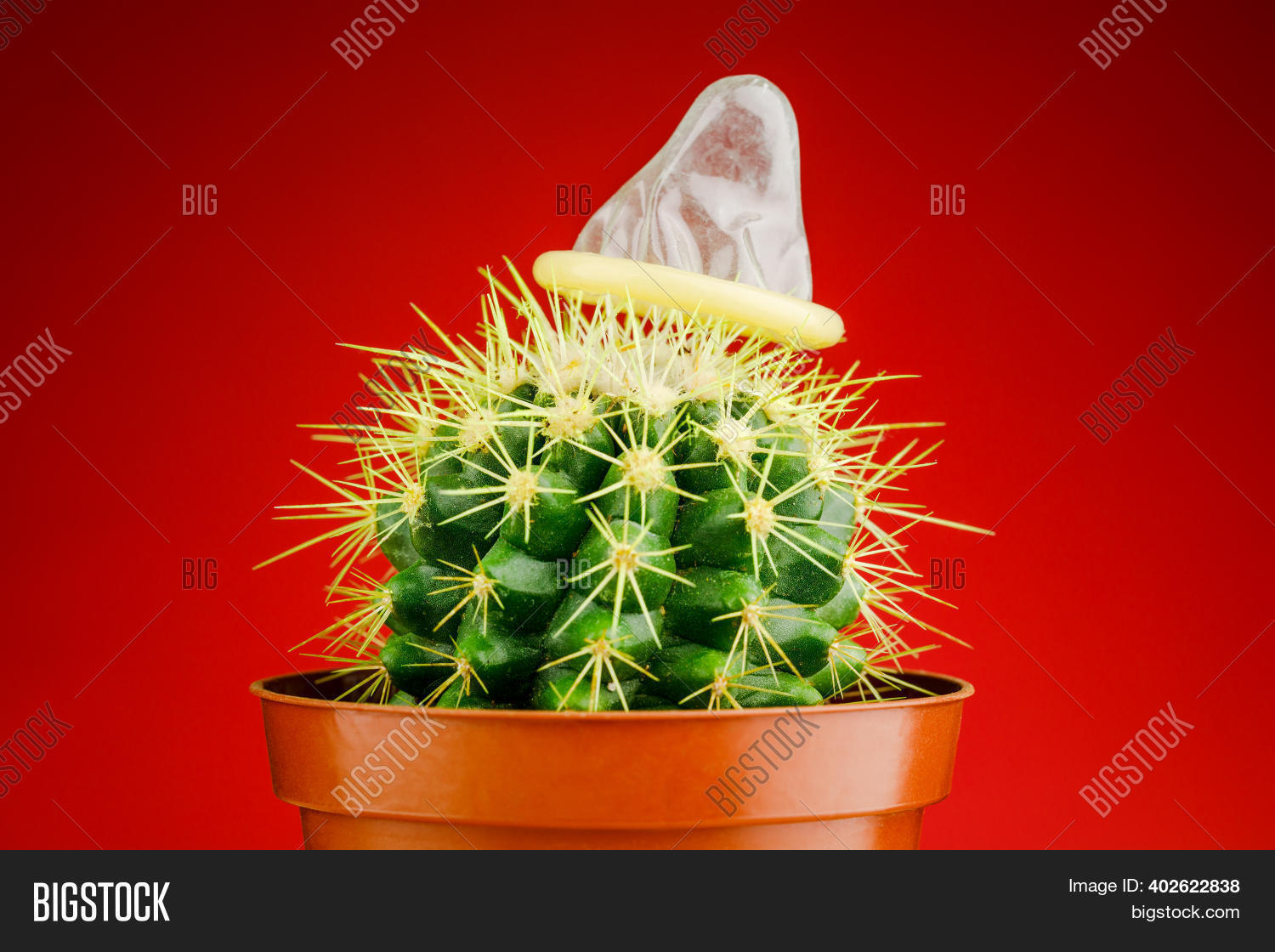 Detail Cactus Condom Nomer 3