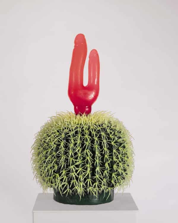 Detail Cactus Condom Nomer 23