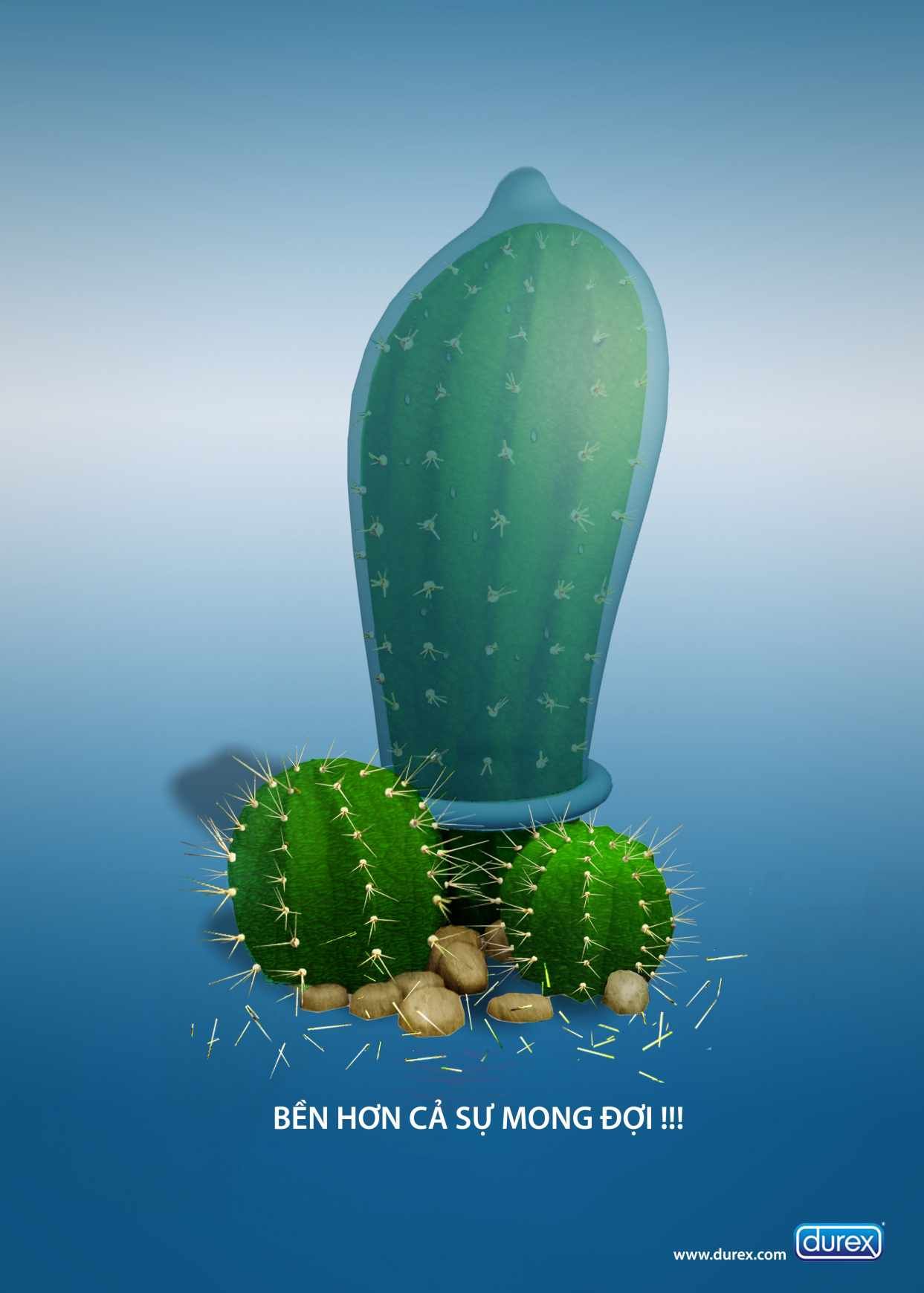 Detail Cactus Condom Nomer 24