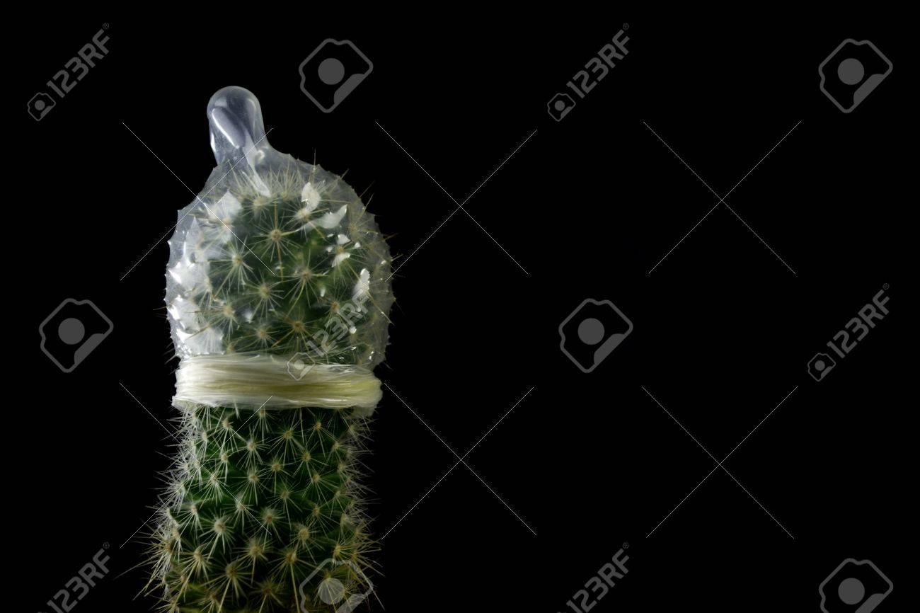 Detail Cactus Condom Nomer 4