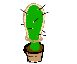 Detail Cactus Condom Nomer 30