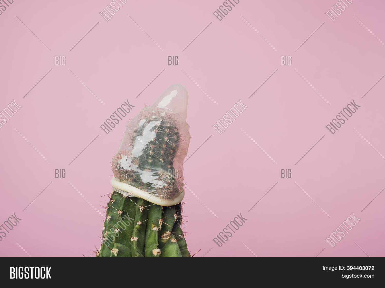 Detail Cactus Condom Nomer 37
