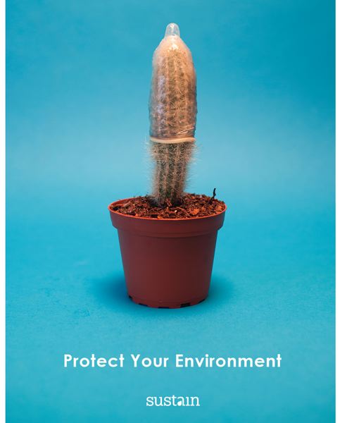 Detail Cactus Condom Nomer 38
