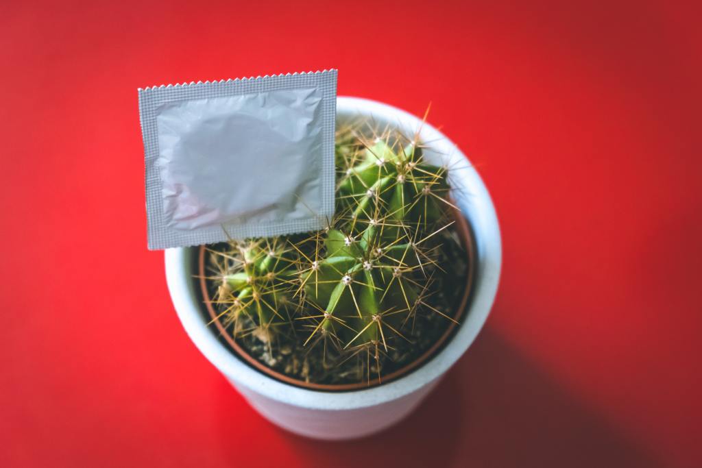 Detail Cactus Condom Nomer 57
