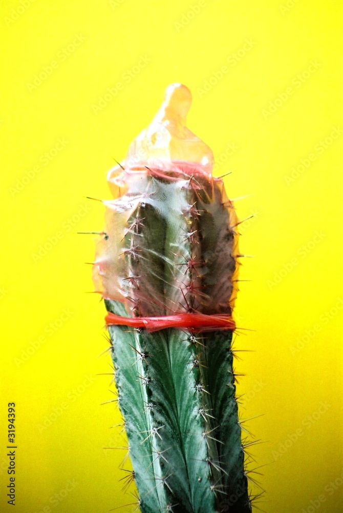 Detail Cactus Condom Nomer 8