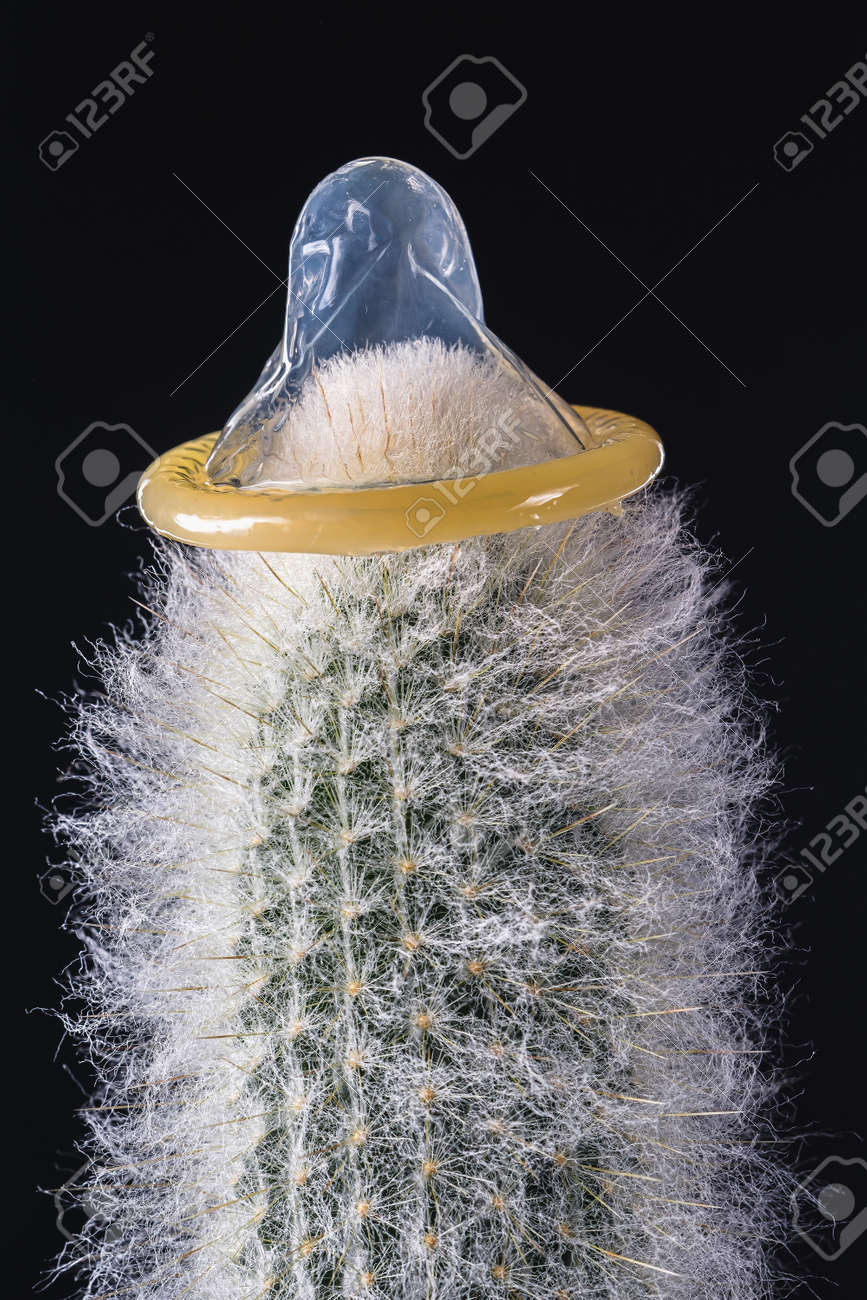 Detail Cactus Condom Nomer 10