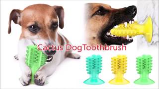 Detail Cactus Dog Toothbrush Nomer 16