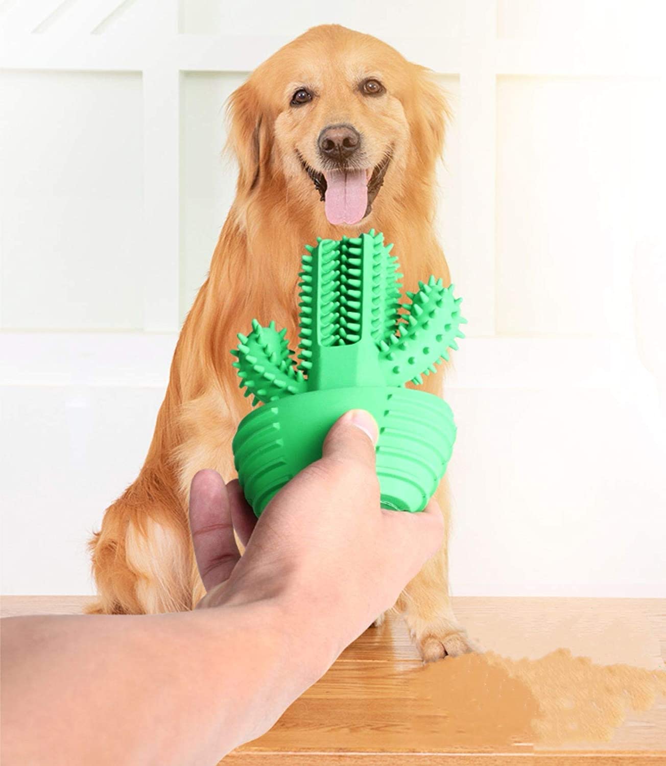 Detail Cactus Dog Toothbrush Nomer 17