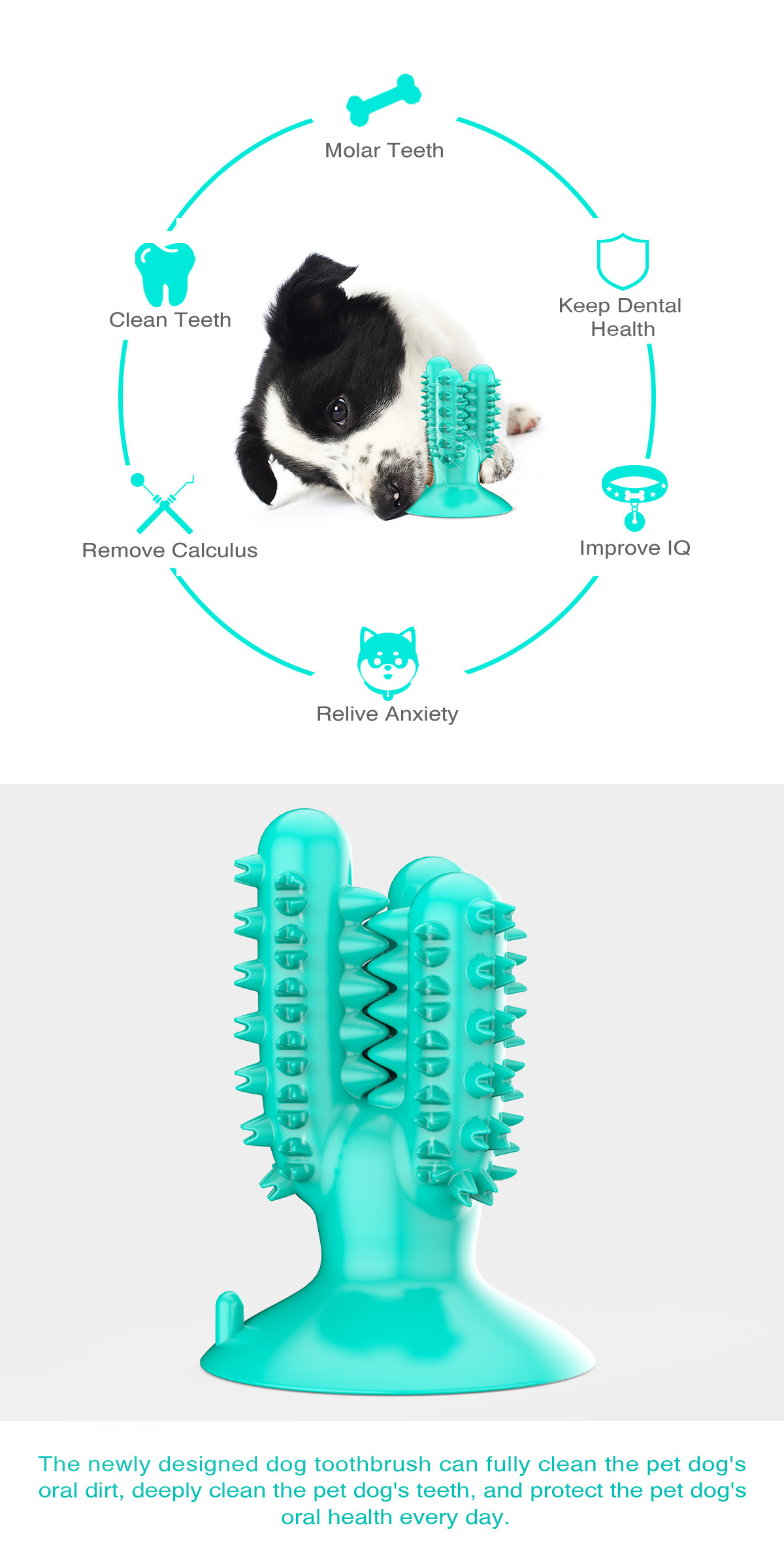 Detail Cactus Dog Toothbrush Nomer 29