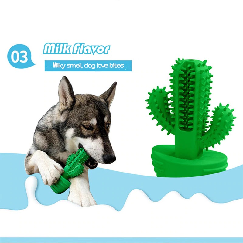 Download Cactus Dog Toothbrush Nomer 31