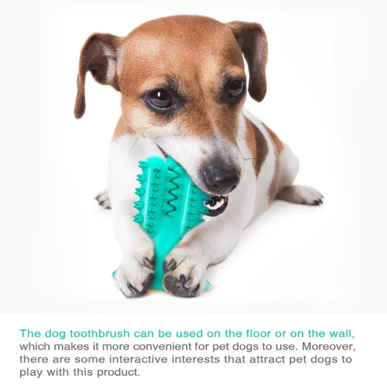 Detail Cactus Dog Toothbrush Nomer 41