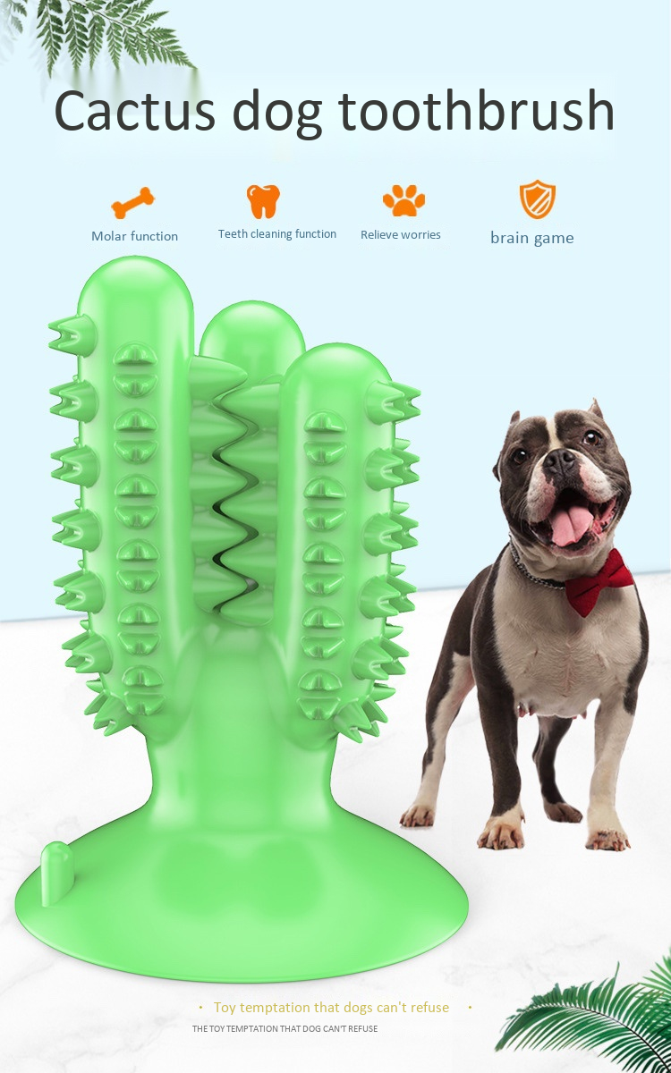 Detail Cactus Dog Toothbrush Nomer 50