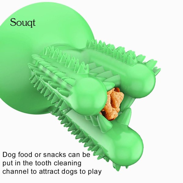 Detail Cactus Dog Toothbrush Nomer 51