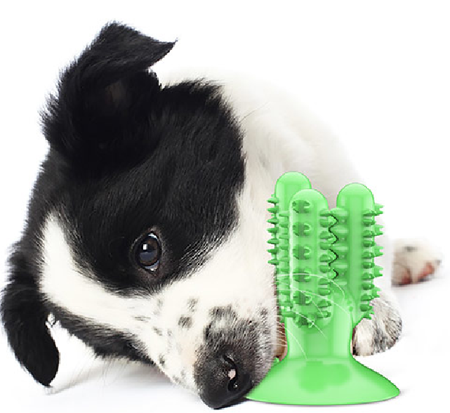 Detail Cactus Dog Toothbrush Nomer 8