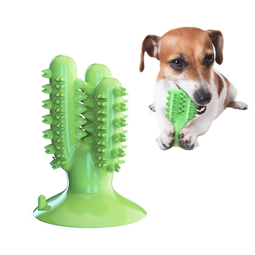 Detail Cactus Dog Toothbrush Nomer 10