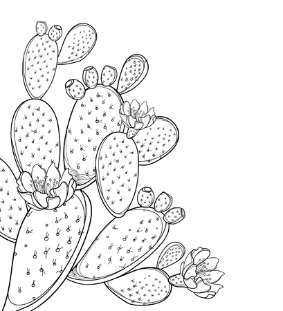 Detail Cactus Flower Clipart Black And White Nomer 2