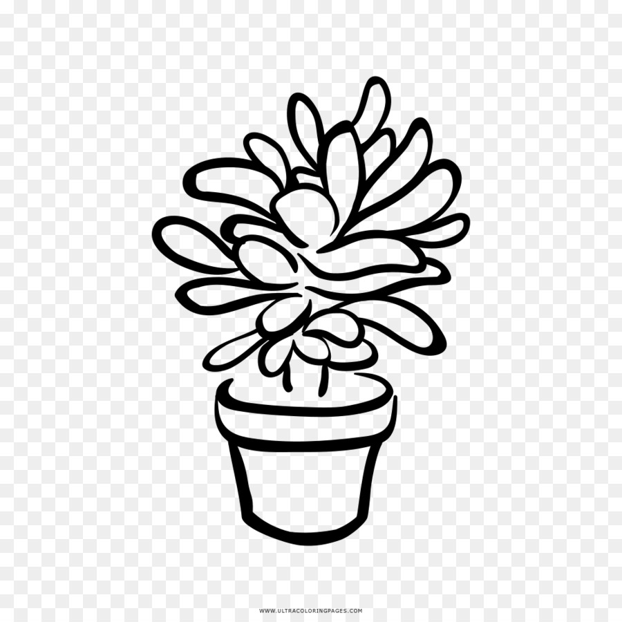 Detail Cactus Flower Clipart Black And White Nomer 13