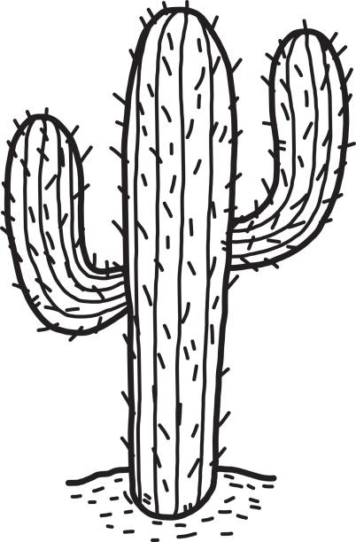 Detail Cactus Flower Clipart Black And White Nomer 5