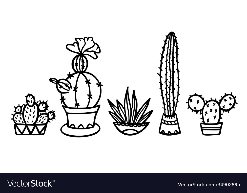 Detail Cactus Flower Clipart Black And White Nomer 44