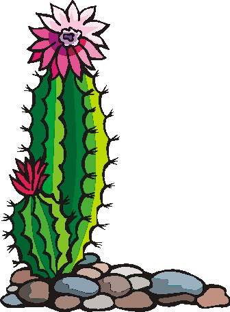 Detail Cactus Flower Clipart Black And White Nomer 46