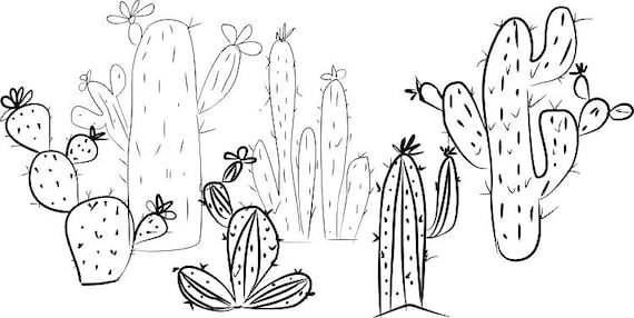 Detail Cactus Flower Clipart Black And White Nomer 49