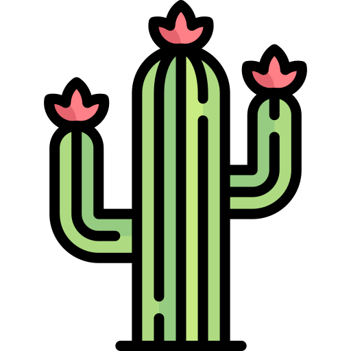 Cactus Icon Png - KibrisPDR