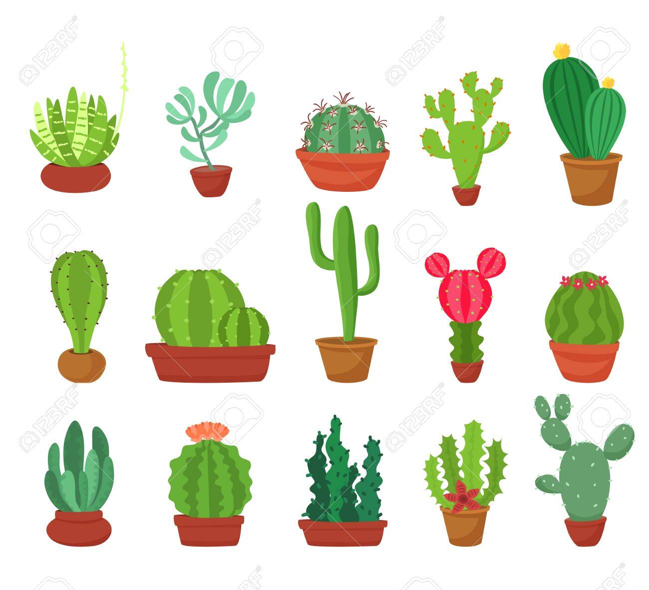 Detail Cactus Illustrations Nomer 23