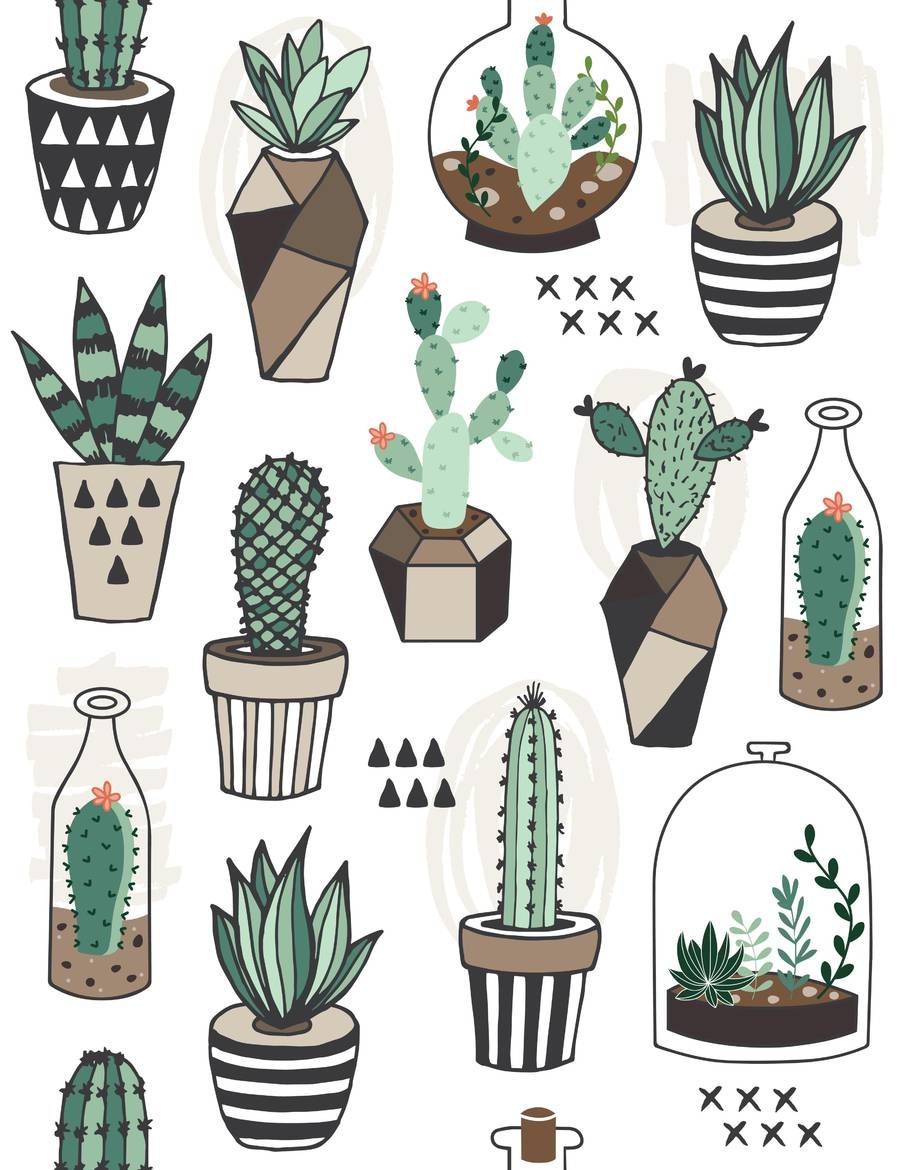Detail Cactus Illustrations Nomer 34