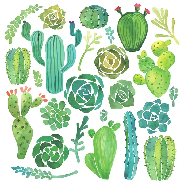 Detail Cactus Illustrations Nomer 36