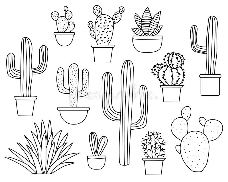 Detail Cactus Illustrations Nomer 38