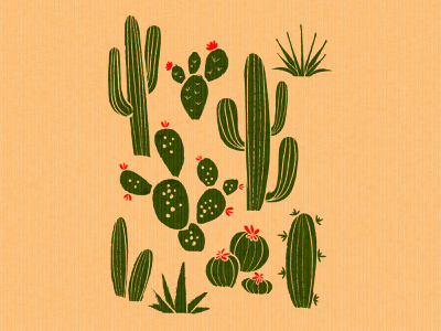 Detail Cactus Illustrations Nomer 49