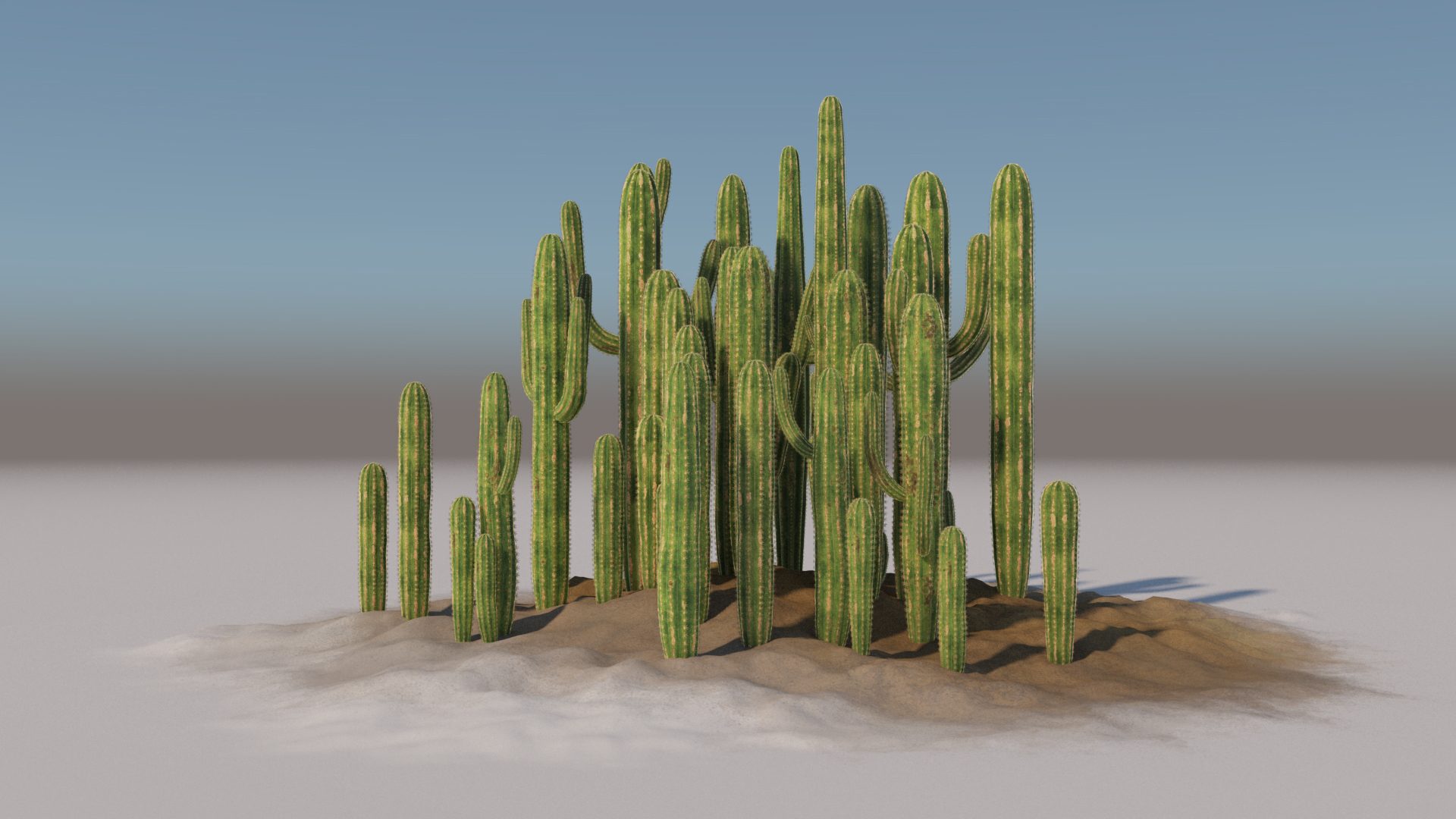 Detail Cactus Images Free Nomer 49