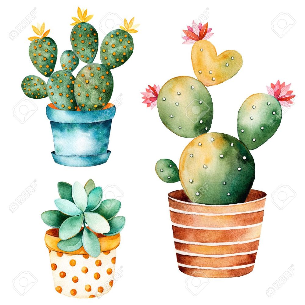 Detail Cactus In A Pot Clipart Nomer 24