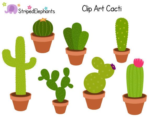 Detail Cactus In A Pot Clipart Nomer 36