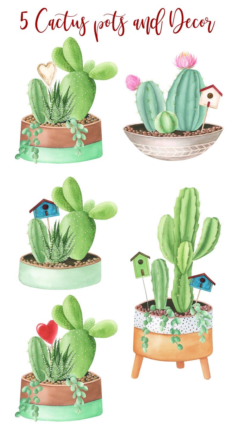 Detail Cactus In A Pot Clipart Nomer 48