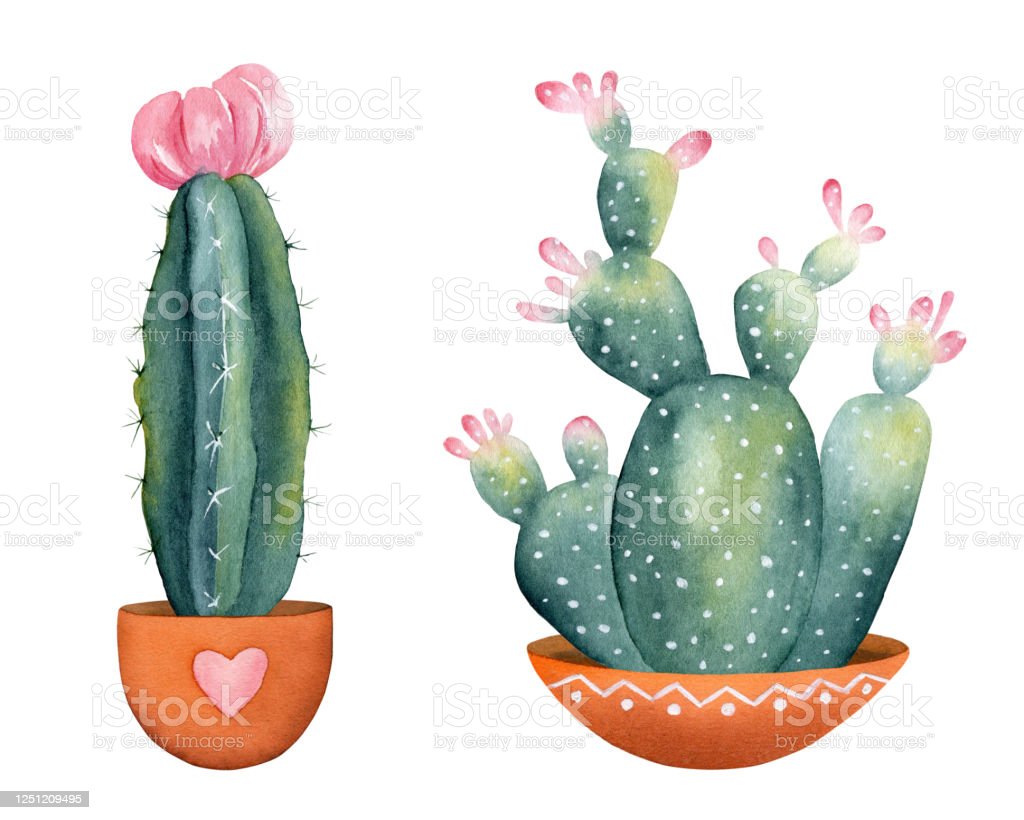 Detail Cactus In A Pot Clipart Nomer 6